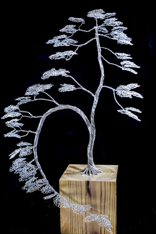 Inspired by Wire - Han Kengai Bonsai 